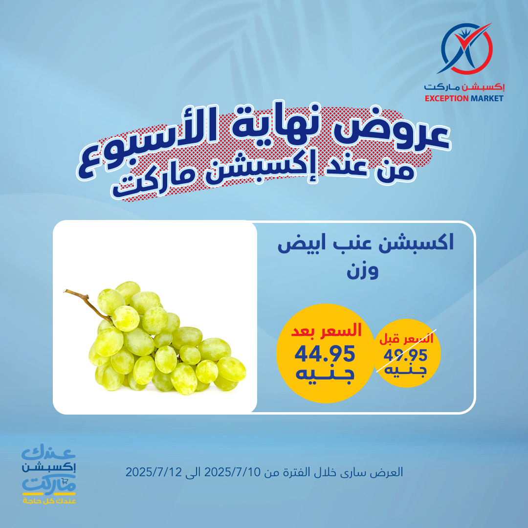 exception offers from 10jul to 1jun 2025 عروض اكسبشن من 10 يوليو حتى 1 يونيو 2025 صفحة رقم 10